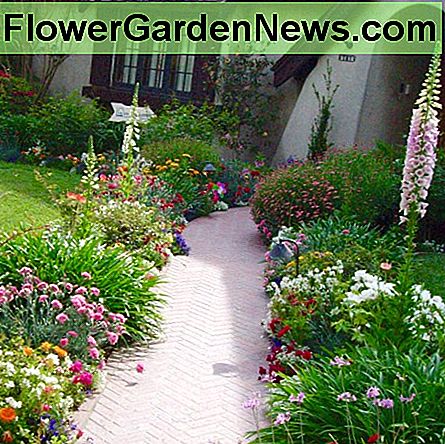 Englisch Country Cottage - typisch für eine Gruppe von bunten, kontrastierenden Blumen unterschiedlicher Höhe zusammen in Masse gepflanzt. English Country Cottage––typified by a cluster of brightly colored, contrasting flowers of different heights mass-planted together.