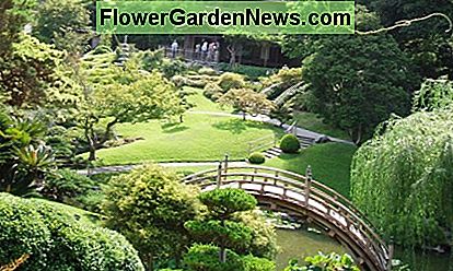 Japanisches Zen - typisch für friedliche, geschwungene Formen von grünen Hügeln, Rundum-Bäumen und Büschen und Brücken über langsam fließende Koi-Ströme. Japanese Zen––typified by peaceful, curving shapes of green rolling hills, round-canopied trees and bushes, and bridges over streams of slow-moving koi.