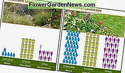 Diese Diagramme zeigen den Vergleich zwischen der Nutzung von Wasser, der Produktion von Grünabfällen und den Wartungsanforderungen der einheimischen und traditionellen Gärten. These charts show the comparison of the native and traditional gardens' use of water, production of green waste, and maintenance requirements.