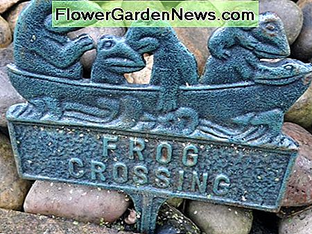 'Frog Crossing' sign, as a new feature to the pond makeover.