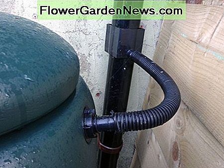 Naujas vandens užtvankos vanduo įterptas į vamzdį iš namo latakų, o tvenkinys tiekia perteklių. New water butt plumbed into downpipe from shed's guttering, with overflow that feeds the pond.