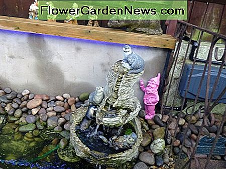 Atskiras fontanas įtrauktas į tvenkinio vandens savybes. Standalone fountain incorporated into pond's water features.