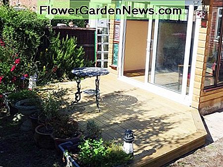 Belag mit Pflanzen eingefasst. Decking edged with plants.