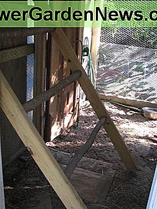 Bewegliche Verrenkung Movable Roost Down