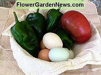 Vorteile der Nachhaltigkeit - Frisches Bio-Gemüse und Yard Eggs Benefits of Sustainability - Fresh Organic Vegetables and Yard Eggs