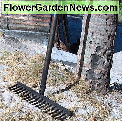 Heavy Duty Rake Heavy Duty Rake