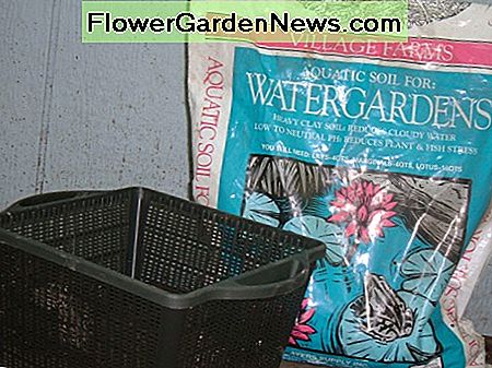 Wassergarten, der Korb pflanzt. Water garden planting basket.