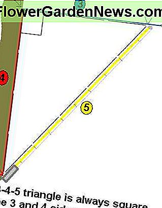 345 im JPEG-Format 345 in JPEG format