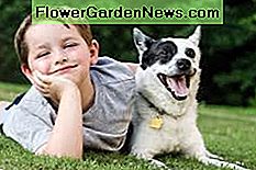 Organisch behandelte Rasenflächen bringen Ruhe in die Sicherheit der Familie. Organically treated lawns bring peace of mind where family safety is concerned.