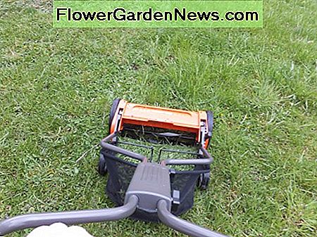 Hier mÀhe ich den Rasen - der geschnittene Rasen ist links. Here I am mowing the lawn - the cut lawn is on the left.