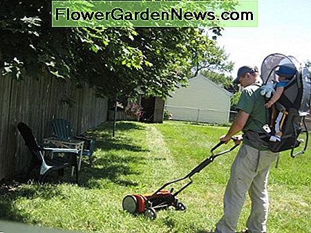 Wie sicher ist ein SpindelmĂ€her? Ich mĂ€he das Gras mit meinem Sohn auf meinem RĂŒcken. How safe is a reel mower? I mow the grass with my son on my back.