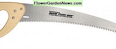 En d-håndtak beskjæringssag A d-handle pruning saw