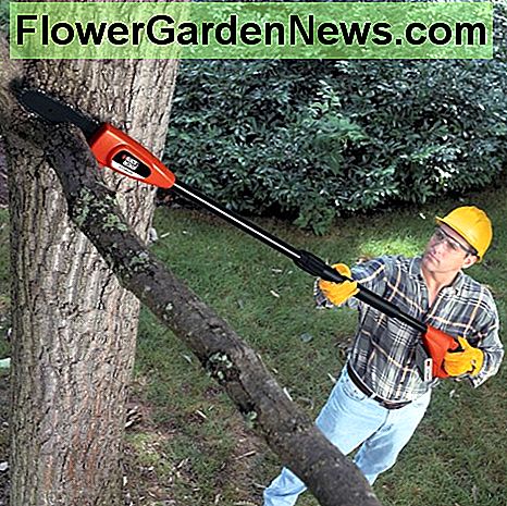 En trådløs polssag i aksjon. A cordless pole saw in action.