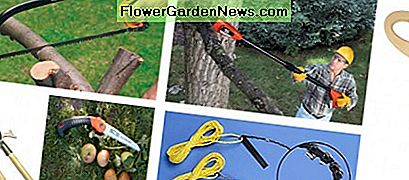 Noen tresager Some tree saws