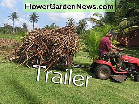 Važiuokite vejapjove su priekaba Ride on mower with trailer