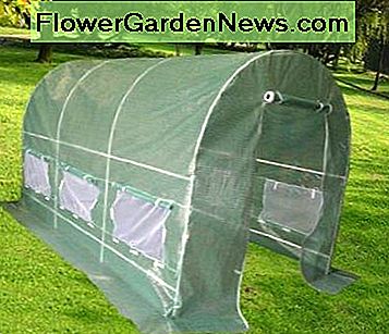 Neues 2010 Gewächshaus 12 'X 7' X 7 'großer grüner Haus-Garten im Freien. New 2010 Greenhouse 12' X 7' X 7' Large Green House Garden Outdoor.