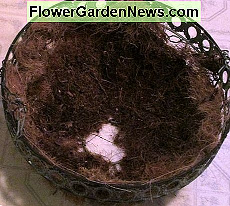 Cesta colgante de metal con Coir Liner. Observe el agujero de drenaje en la parte inferior, eso es muy importante. Metal Hanging Basket with Coir Liner. Notice the drainage hole in the bottom--that's very important.
