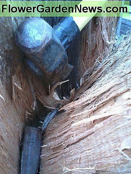 Aufteilen den Rest des Weges. Danke, Keile! Splitting it open the rest of the way. Thanks, wedges!