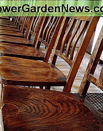 Träporslin Wood polish