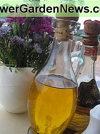 Fantastiska olivolja Amazing Olive Oil