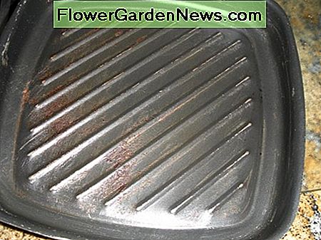 JETZT kann es in die Spüle gehen. Denken Sie daran - eine Fettkugel ist nicht nur schlecht für das septische System - es kann zu Verstopfungen in den Rohren auf dem Weg führen NOW it can go in the sink. Remember--a grease ball is not just bad for the septic system--it can cause clogs in the pipes along the way