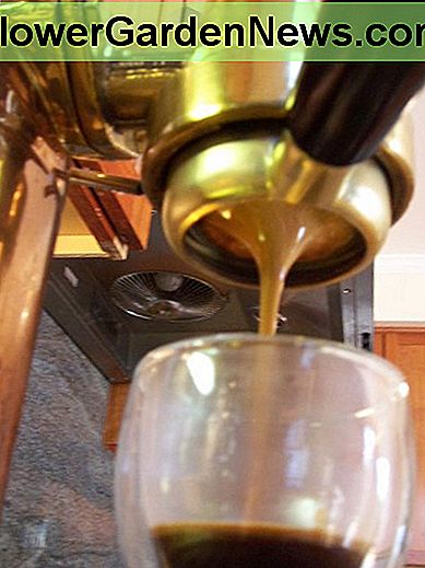 Der Naked Portafilter lÀsst Sie die ganze Schönheit und den Glanz eines schönen Espresso Schusses sehen! The Naked Portafilter lets you see all the beauty and glory of a nice espresso shot!