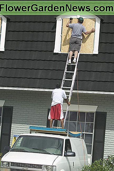 Die Fenster aufstellen, bevor der Hurrikan eintrifft Boarding up the windows before the hurricane arrives