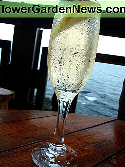 Haben Sie echte Weingläser in Ihrem Ferienhaus! Bild mit freundlicher Genehmigung von Kittyela / morguefile.com Have real wine glasses in your vacation home! Image courtesy of Kittyela/morguefile.com