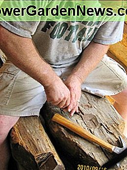 Das Entfernen der Nägel aus diesen jahrhundertealten Häusern und das Bewahren des Holzes tragen alle dazu bei, die reiche Geschichte des amerikanischen Kastanienbaums zu retten. Removing the nails from these centuries old homes and preserving the wood are all part of saving the rich history of the American Chestnut Tree.