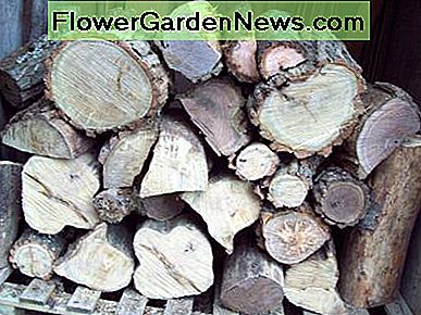 Turint medį, puikią prieš audrą, ypač jei visa tai susmulkinta. Having wood handy is great before a storm, especially if it's all chopped up.