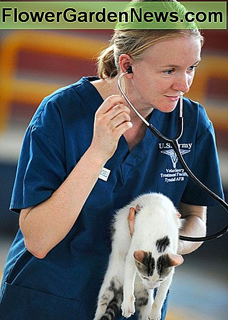 Du har opdateret din familielæge på din nye adresse. Glem ikke at opdatere den anden læge, din familie, dyre venner og alle, afhænger af. You've updated your family doctor on your new address. Don't forget to update the other doctor your family, furry friends and all, depends on.