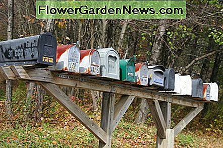 Hvis din mail går tabt, fordi du ikke har meddelt de personer, du er forpligtet til at underrette, er du ansvarlig for eventuelle ubesvarede betalinger. f your mail gets lost because you didn't notify those people you are obligated to notify, you are liable for any missed payments.