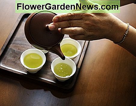 Giet een paar kopjes thee uit. Houd een te drinken en een ander om je gezicht te wassen met in de ochtend! Pour out a few cups of tea. Keep one to drink and another to wash your face with in the morning!