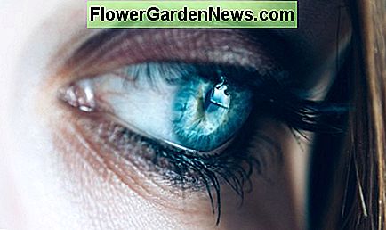 Vermijd oogwallen met theezakjes. Reduce eye puffiness with tea bags.