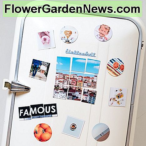 Laat je koelkast beter ruiken met gebruikte theezakjes! Make your fridge smell better with used tea bags!