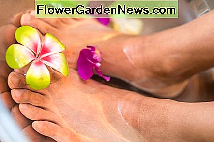Laat je voeten zo lekker ruiken door ze in een theebad te laten weken. Make your feet smell oh-so-pleasant by soaking them in a tea bath.