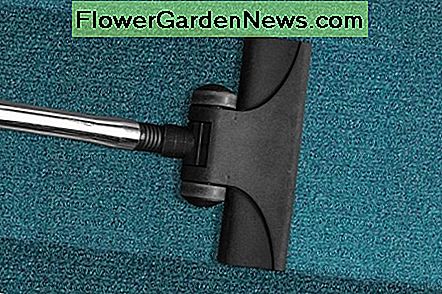Zuig tapijtgeuren weg met theebladeren. Suck away any carpet odors with tea leaves.