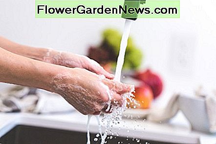 Zorg ervoor dat u uw handen wast met regelmatig water nadat u uw handen in de theebladeren hebt gespoeld. Make sure to wash your hands with regular water after you rinse your hands in the tea leaves.