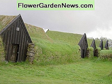 Žemėje esantis gyvenamasis namas Islandijoje Earth-Sheltered home in Iceland