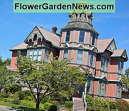Dieses viktorianische Haus hat alle Schnickschnack! This Victorian home has all the bells and whistles!