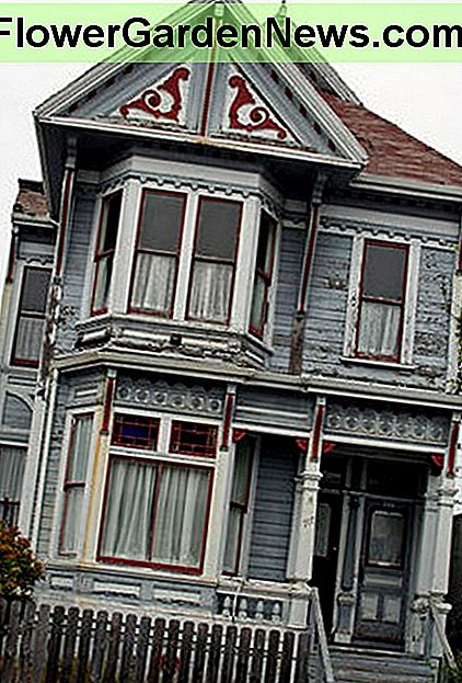 Diese einst große Dame braucht jetzt etwas TLC. Bist du der Aufgabe gewachsen? This once grand dame now needs some TLC. Are you up to the task?