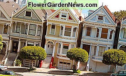 Die Painted Ladies neben dem Alamo Square sind nur eine kleine Auswahl unter Tausenden von Viktorianern in San Francisco. The Painted Ladies adjacent to Alamo Square are just a small sampling among thousands of Victorians in San Francisco.