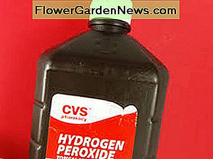 ไฮโดรเจนเปอร์ออกไซด์จะหมดอายุลง คุณจะรู้ว่ามันหมดอายุแล้วเมื่อไม่มีฟอง Hydrogen peroxide will expire. You will know it has expired when there is no fizz.