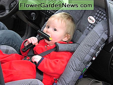 วัสดุในที่นั่งเด็กของเด็กจะหมดอายุระหว่าง 6-10 ปี The material in a child's car seat will expire between 6-10 years.