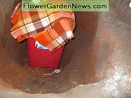In der tiefsten Stelle befindet sich ein mit Wasser gefüllter Plastikbehälter unter den Stufen und den eingebauten Sitzgelegenheiten. The deepest section holds a plastic bin full of water, below the steps and built-in seating.
