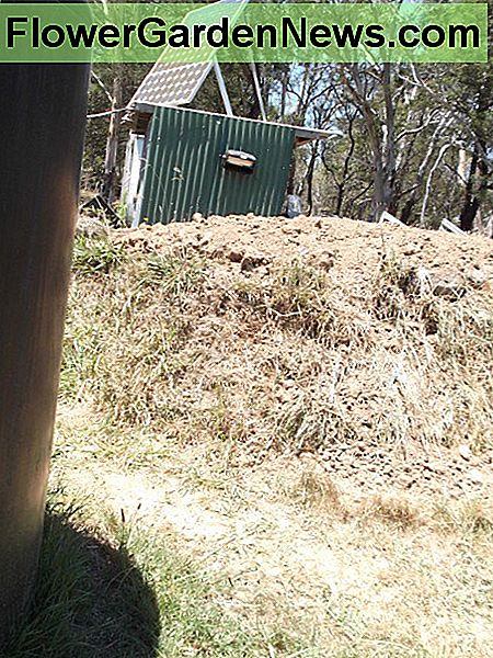 Im Vordergrund ist ein großer schwarzer Wassertank. Zwischen dem Feuerbunker und dem darüber liegenden Busch befindet sich der Lagerbereich für unsere Solaranlage und Tiefenzellenbatterien. Das Gras auf dem Bunker wurde bei hohen Temperaturen und heftigen, trockenen Winden zu einem knusprigen Boden getrocknet. In the foreground is a large black watertank. Between the fire bunker and the bush beyond is the storage area for our solar power system and deep cell batteries. The grass on the bunker was dried to a crisp by high temperatures and fierce dry winds.