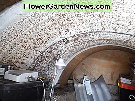 Rückseite der oberen Ebene. Gartenbaulampe ist eine neue Ergänzung und muss noch angemessen positioniert werden. An einem der Stellen, an denen sich die Wassertankabschnitte überlappen, baumelt ein kleines Licht. Es wird von einem kleinen Solarpanel draußen angetrieben. Rear of upper level. Horticultural lamp is a recent addition and has yet to be positioned appropriately. Small light is dangling from one of the places where the water tank sections overlap. It is powered by a small solar panel outside.