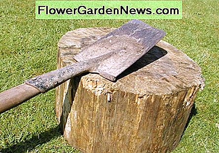 Paleiskite lentą ant žurnalo arba bloko arba laikykite jį spraustu Rest the spade on a log or block, or hold it in a vise