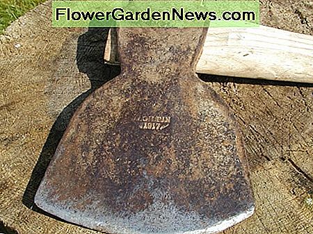Ašis taip pat galima pjaustyti šlifuokliu. Ašmenys abiejų pusių šlifuokite maždaug 30 laipsnių kampu. Užbaigite akmenį Axes can also be sharpened with a grinder. Grind both sides of the blade at about 30 degrees - Finish off with a sharpening stone