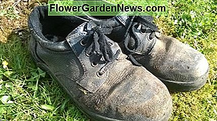 Apsauginiai batai Safety shoes